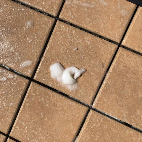 ベランダのジョイントタイルの掃除方法 暮らしニスタ ベランダのジョイントタイルの掃除方法 暮らしニスタ