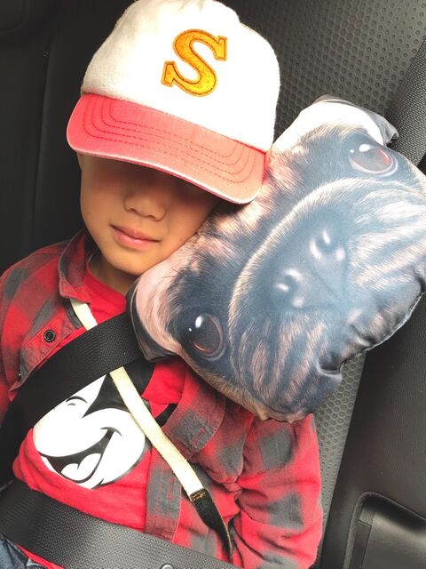 子どもと車旅 100均クッションで作るシートベルトピロー 暮らしニスタ 子どもと車旅 100均クッションで作るシートベルトピロー 暮らしニスタ