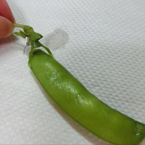 さやえんどうの筋を一気に取る方法 暮らしニスタ