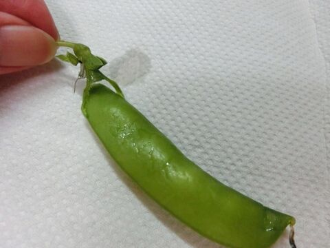 さやえんどうの筋を一気に取る方法 暮らしニスタ