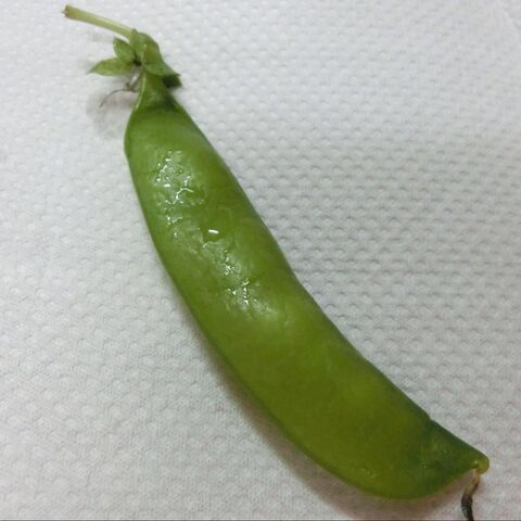 さやえんどうの筋を一気に取る方法 暮らしニスタ