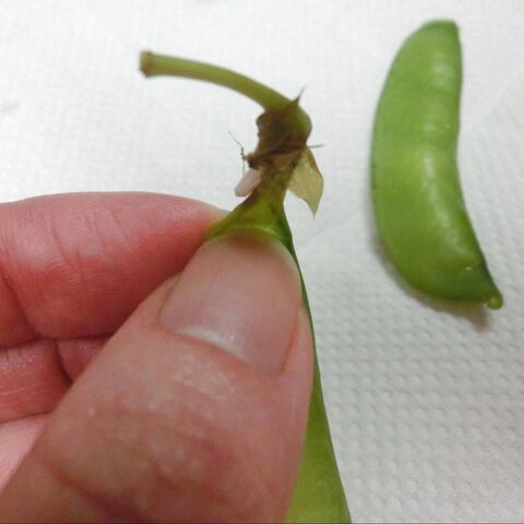 さやえんどうの筋を一気に取る方法 暮らしニスタ