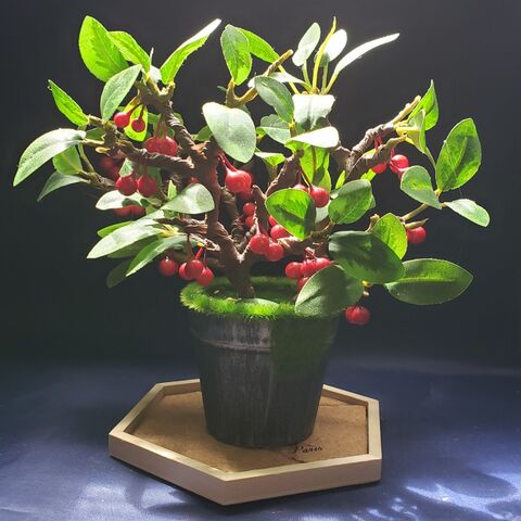 可愛いさくらんぼの鉢植えを100均の材料で作りました 暮らしニスタ 可愛いさくらんぼの鉢植えを100均の材料で作りました 暮らしニスタ
