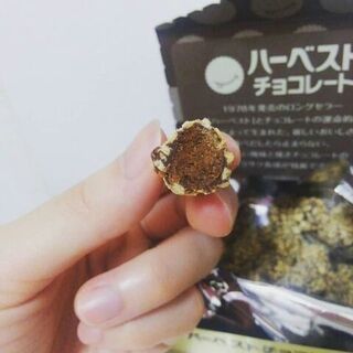 不二家と東ハトのコラボ ハーベストチョコレート 暮らしニスタ