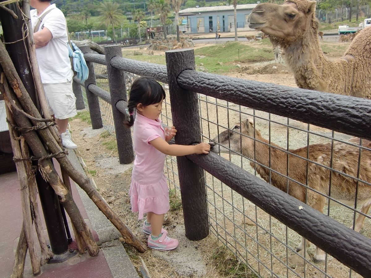 かつては私一人で