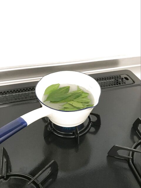 ハーブ 自家製ローリエに挑戦した結果 暮らしニスタ ハーブ 自家製ローリエに挑戦した結果 暮らしニスタ