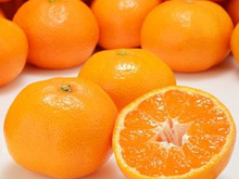 【2019】ふるさと納税の返礼に、甘酸っぱいみかんや柑橘類はいかが？