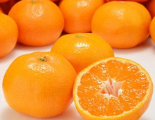 【2019】ふるさと納税の返礼に、甘酸っぱいみかんや柑橘類はいかが？