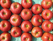【2019】りんごと梨のふるさと納税返礼品人気ランキング