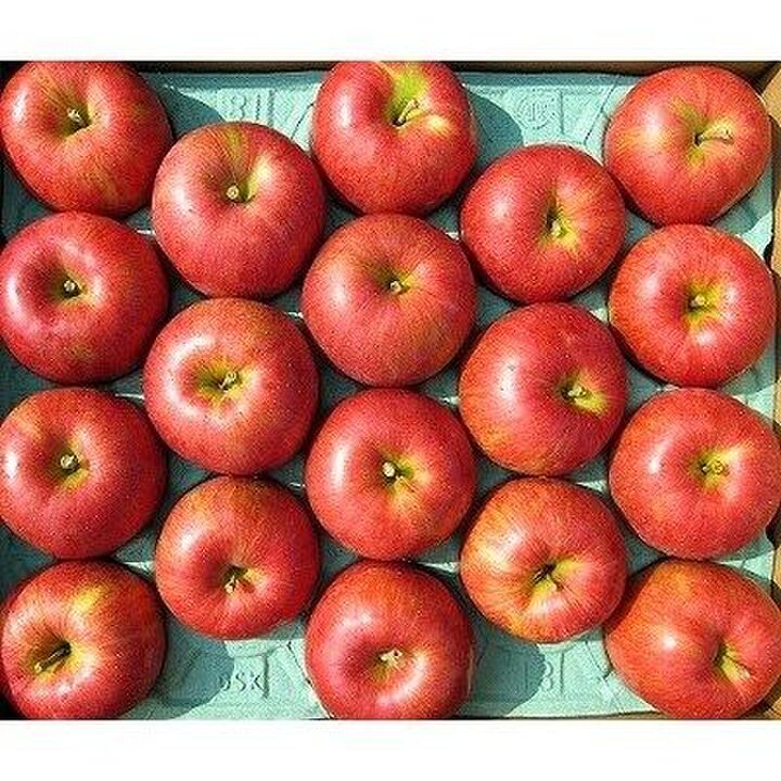 【2019】りんごと梨のふるさと納税返礼品人気ランキング