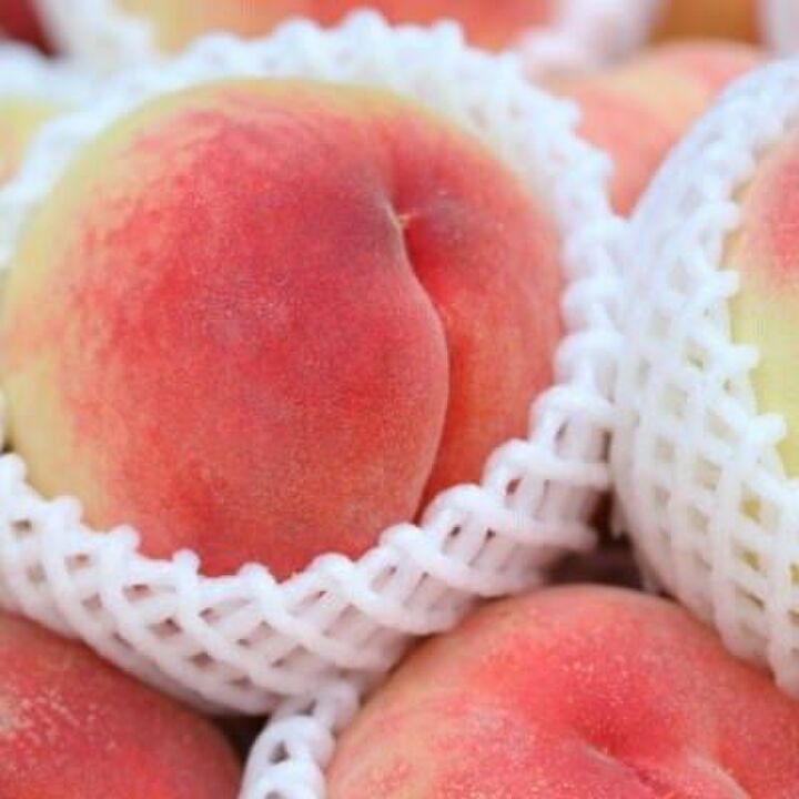 【2019】甘くてジューシー!旬の桃を味わおう!ふるさと納税の人気ランキング・トップ10