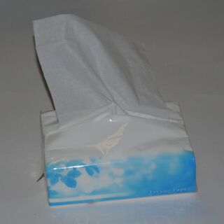 小さめが使いやすいティッシュペーパー 暮らしニスタ 小さめが使いやすいティッシュペーパー 暮らしニスタ