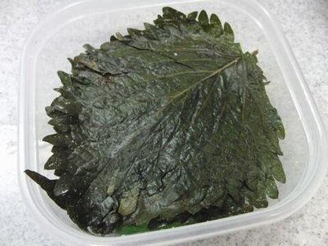半年以上もちます 大葉の塩漬け 暮らしニスタ 半年以上もちます 大葉の塩漬け 暮らしニスタ