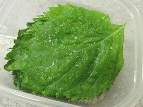 半年以上もちます 大葉の塩漬け 暮らしニスタ