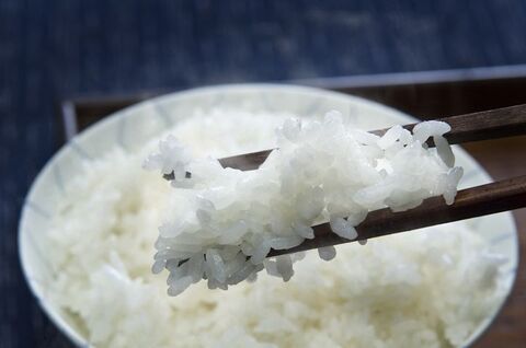 冷凍ごはんのおいしい解凍の仕方は 注意点や賞味期限をご紹介 暮らしニスタ 冷凍ごはんのおいしい解凍の仕方は 注意点や賞味期限をご紹介 暮らしニスタ