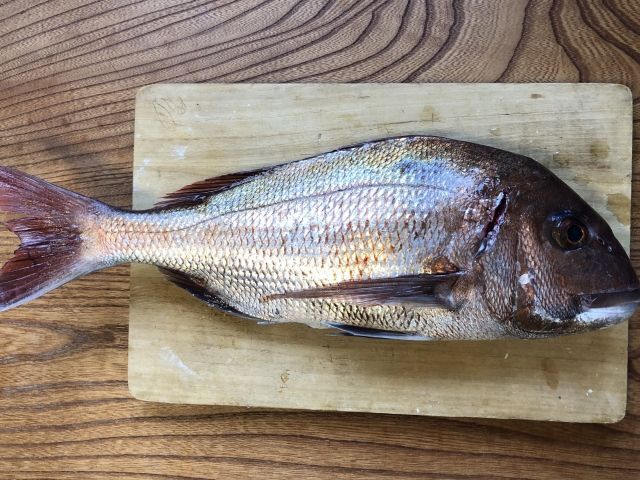 フライパンで焼き魚をおいしく作るコツは 人気レシピ４選もご紹介 暮らしニスタ