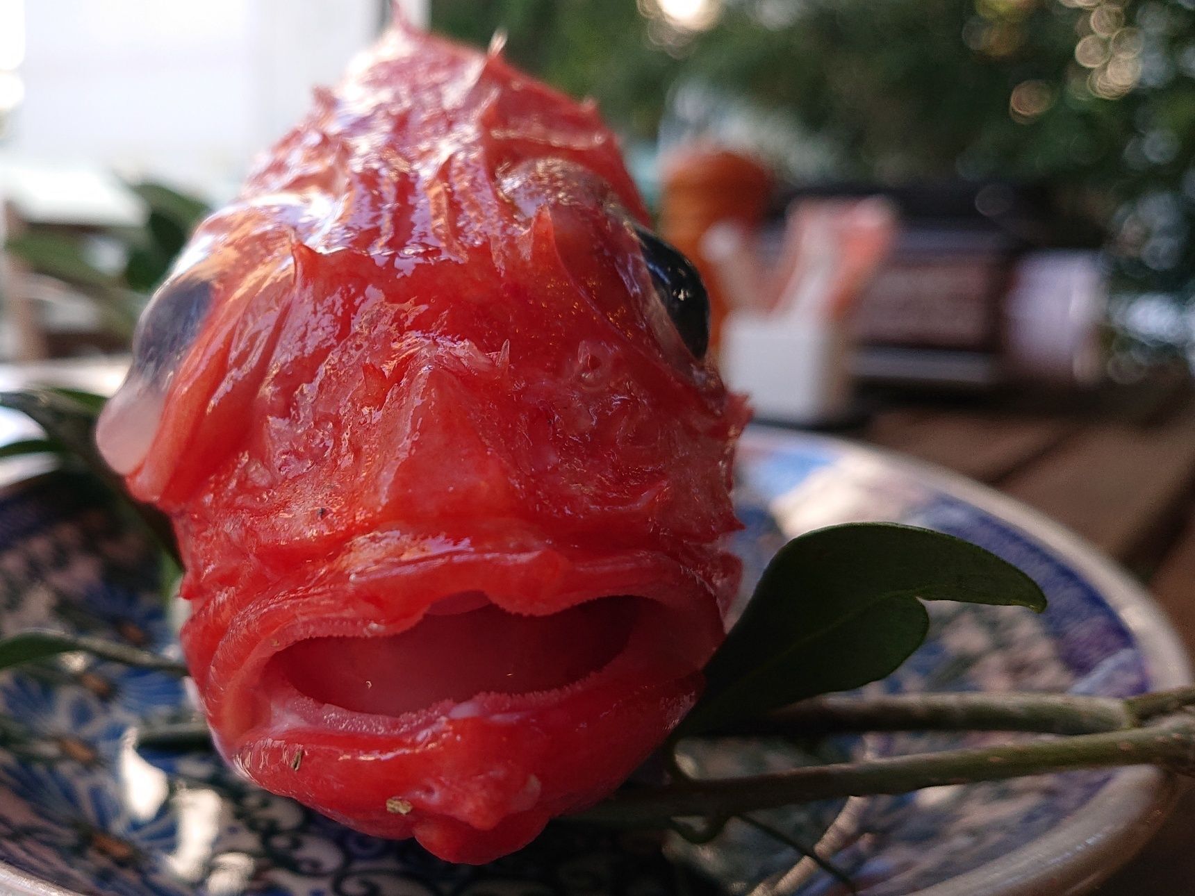 お魚図鑑 きんき の巻 by 魚秀 Vol 6 暮らしニスタ お魚図鑑 きんき の巻 by 魚秀 Vol 6 暮らしニスタ