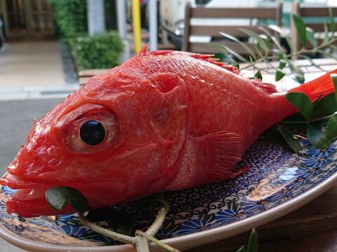 お魚図鑑 きんき の巻 by 魚秀 Vol 6 暮らしニスタ お魚図鑑 きんき の巻 by 魚秀 Vol 6 暮らしニスタ