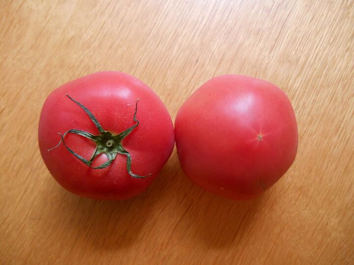 種が出てこない!サラダにぴったりのトマトの切り方