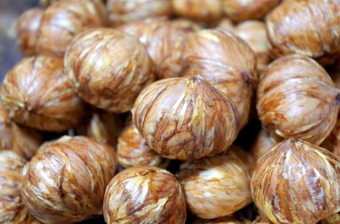 これで簡単 栗の渋皮の剥き方を覚えよう 暮らしニスタ これで簡単 栗の渋皮の剥き方を覚えよう 暮らしニスタ