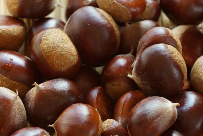 これで簡単 栗の渋皮の剥き方を覚えよう 暮らしニスタ これで簡単 栗の渋皮の剥き方を覚えよう 暮らしニスタ