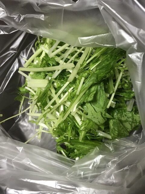 水菜の保存方法 暮らしニスタ 水菜の保存方法 暮らしニスタ