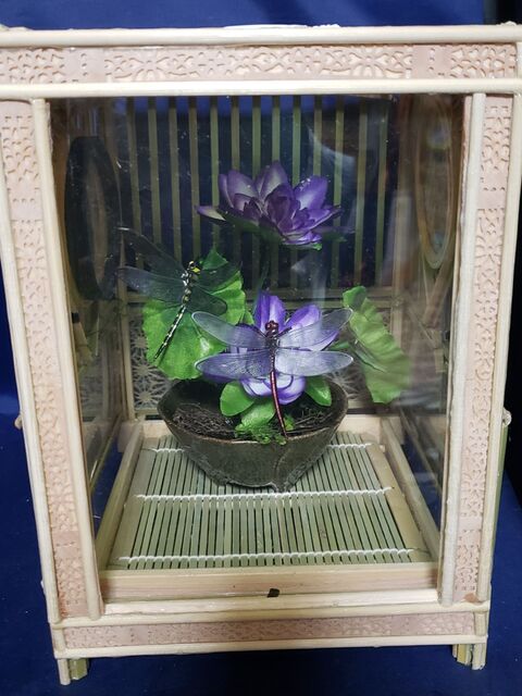 竹製の和風虫かごを100均の竹製の角そば器と竹の巻きすを使って作る 暮らしニスタ 竹製の和風虫かごを100均の竹製の角そば器と竹の巻きすを使って作る 暮らしニスタ
