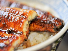 うなぎの旬はいつ？養殖と天然で違うの？特徴も紹介！