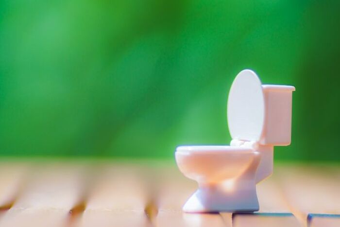 牡蠣で食あたり その症状と安全に食べる方法が知りたい アレルギーの可能性も 暮らしニスタ