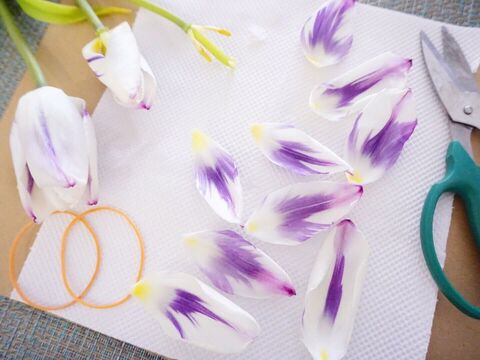 即席押し花で オシャレなフォトフレームを作りました 暮らしニスタ 即席押し花で オシャレなフォトフレームを作りました 暮らしニスタ