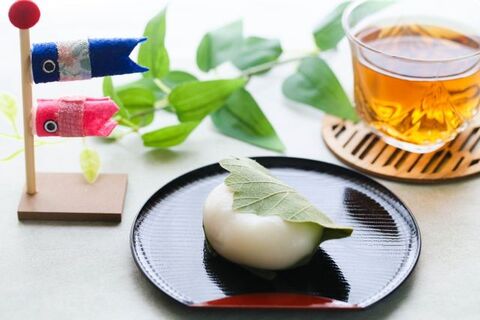 柏餅の葉っぱは 食べていいの ところでこれって何の葉っぱ 暮らしニスタ 柏餅の葉っぱは 食べていいの ところでこれって何の葉っぱ 暮らしニスタ