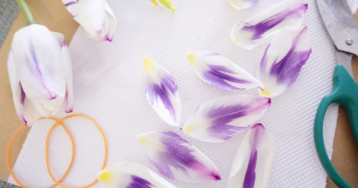 即席押し花で オシャレなフォトフレームを作りました 暮らしニスタ