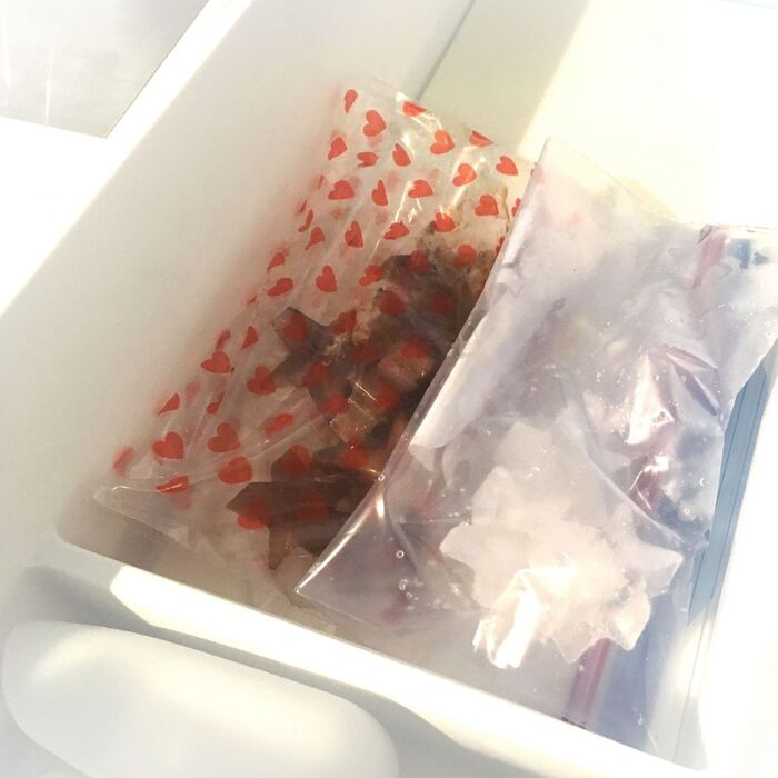 氷ストックやアレンジ氷はジッパー付き保存袋で仕分けて保存