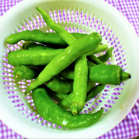 今が旬 ご飯に合う 青唐辛子の甘辛そぼろ炒め 暮らしニスタ 今が旬 ご飯に合う 青唐辛子の甘辛そぼろ炒め 暮らしニスタ