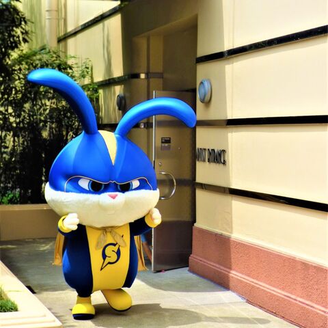 usj 映画 ペット2 のキャプテンスノーボールに会える 暮らしニスタ usj 映画 ペット2 のキャプテンスノーボールに会える 暮らしニスタ