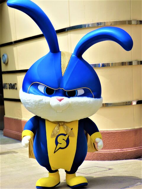 usj 映画 ペット2 のキャプテンスノーボールに会える 暮らしニスタ