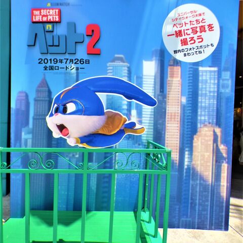 usj 映画 ペット2 のキャプテンスノーボールに会える 暮らしニスタ usj 映画 ペット2 のキャプテンスノーボールに会える 暮らしニスタ