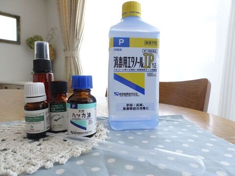 子どもも安心 簡単手作りナチュラル虫よけスプレー 暮らしニスタ 子どもも安心 簡単手作りナチュラル虫よけスプレー 暮らしニスタ