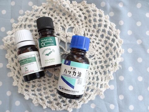 子どもも安心 簡単手作りナチュラル虫よけスプレー 暮らしニスタ 子どもも安心 簡単手作りナチュラル虫よけスプレー 暮らしニスタ