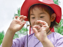 【自由研究ネタ】夏休みの経験や発見を自由研究にするコツとは？