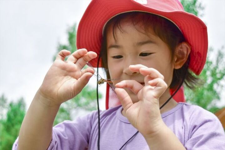【自由研究ネタ】夏休みの経験や発見を自由研究にするコツとは?