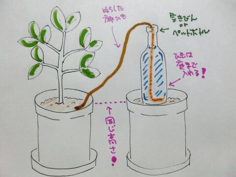 留守中も心配なし 麻ひもでお手軽 自動水やり装置 暮らしニスタ 留守中も心配なし 麻ひもでお手軽 自動水やり装置 暮らしニスタ