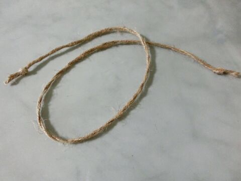 留守中も心配なし 麻ひもでお手軽 自動水やり装置 暮らしニスタ