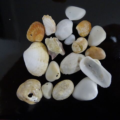 ビーチコーミング Beach Combing ロマンあふれる魅力 暮らしニスタ ビーチコーミング Beach Combing ロマンあふれる魅力 暮らしニスタ