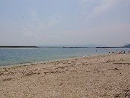 ビーチコーミング Beach Combing ロマンあふれる魅力 暮らしニスタ ビーチコーミング Beach Combing ロマンあふれる魅力 暮らしニスタ