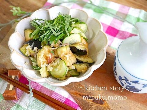 10分で作れる 水なすとキュウリの浅漬け 暮らしニスタ