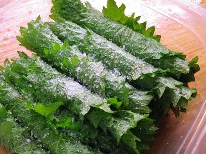 大葉って冷凍できるの その他の保存方法もチェック 暮らしニスタ 大葉って冷凍できるの その他の保存方法もチェック 暮らしニスタ