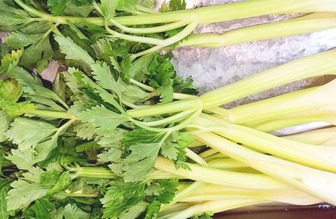 セロリの人気のおいしい食べ方をご紹介 葉の活用方法とレシピ15選 暮らしニスタ セロリの人気のおいしい食べ方をご紹介 葉の活用方法とレシピ15選 暮らしニスタ