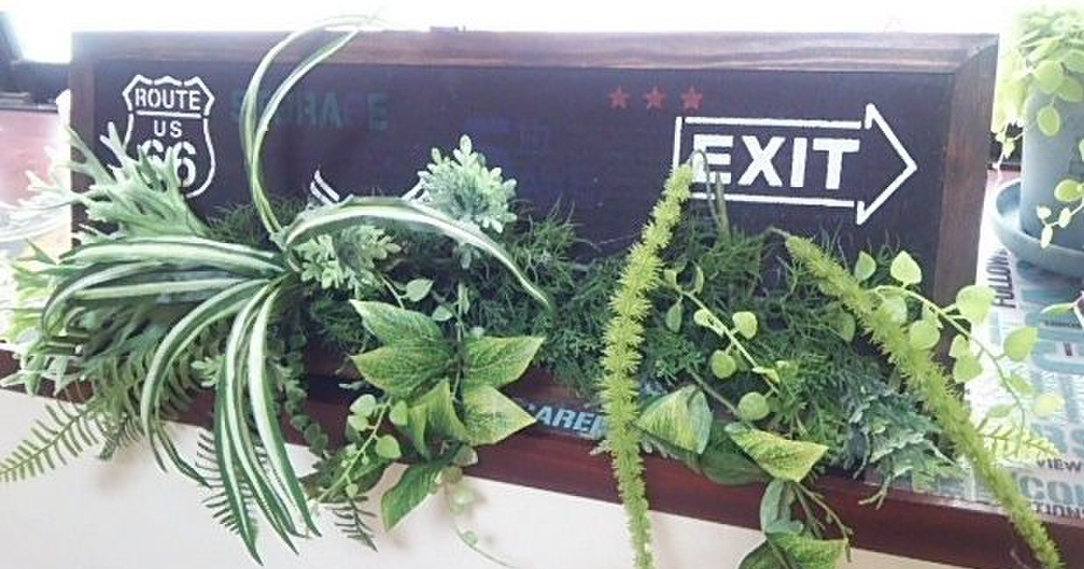 カインズのフェイクグリーンを使って壁飾り 暮らしニスタ