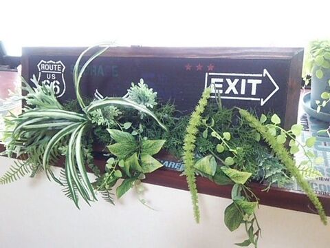 カインズのフェイクグリーンを使って壁飾り 暮らしニスタ カインズのフェイクグリーンを使って壁飾り 暮らしニスタ